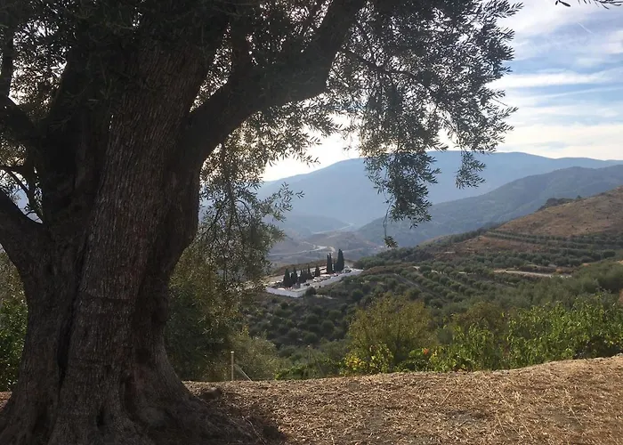Jardin Andaluz Veleta