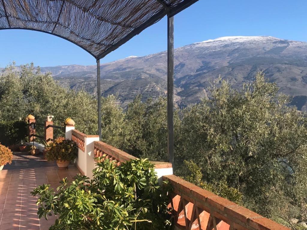 Jardin Andaluz Veleta