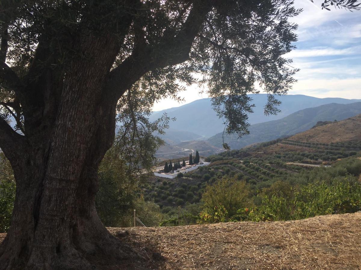 Jardin Andaluz Veleta