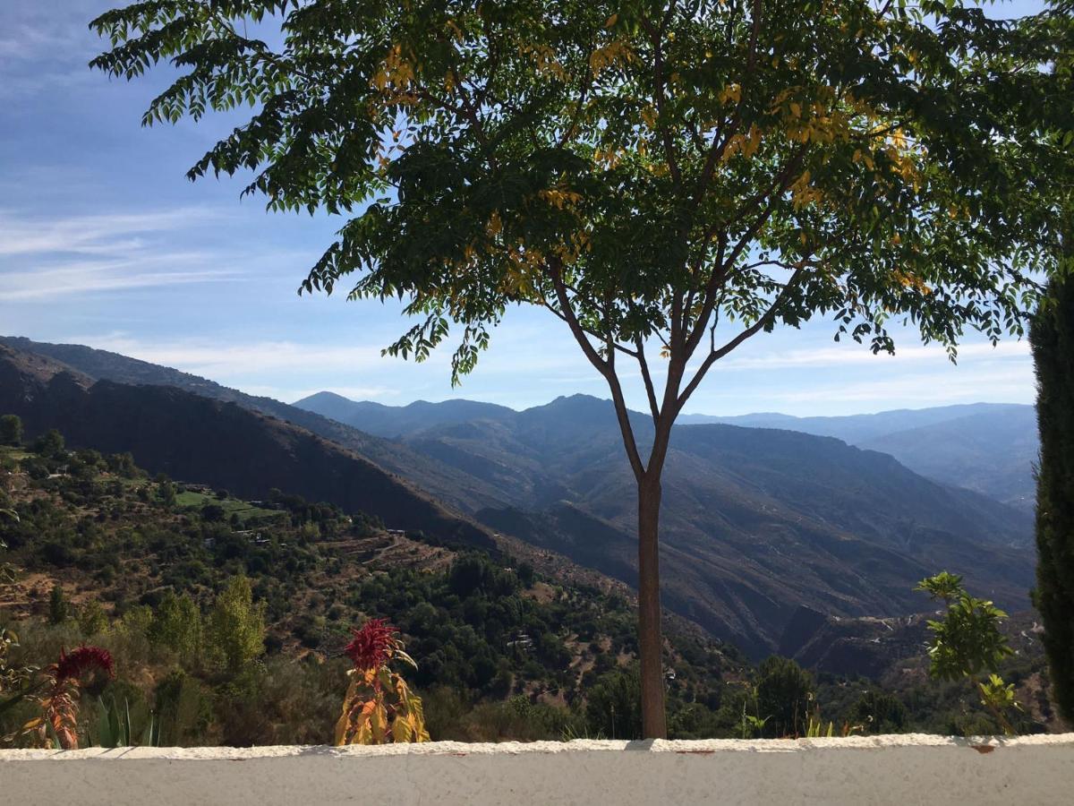 Jardin Andaluz Veleta Appartement Pinos del Valle