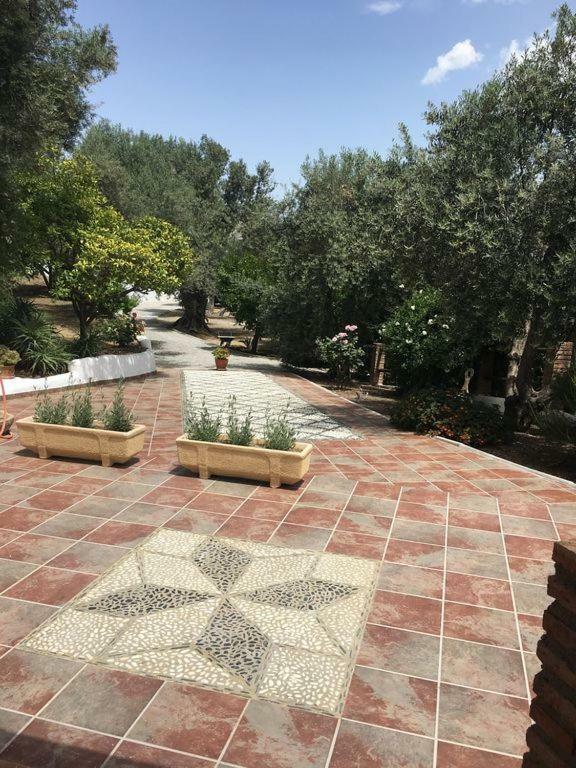 Jardin Andaluz Veleta *